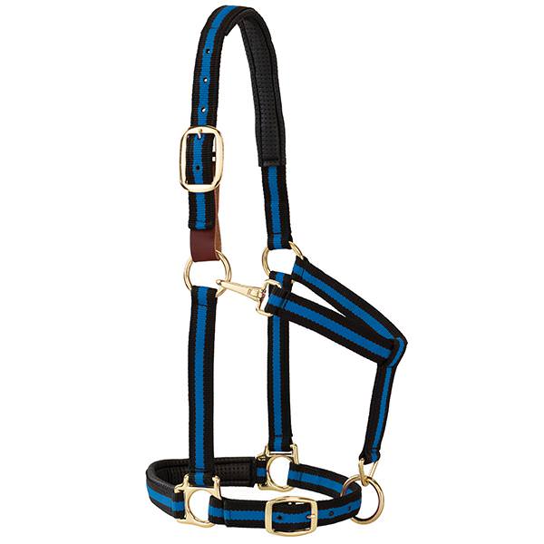 Parker Adjustable Halter with D-Rings and Snap - Horse Tack & Supplies