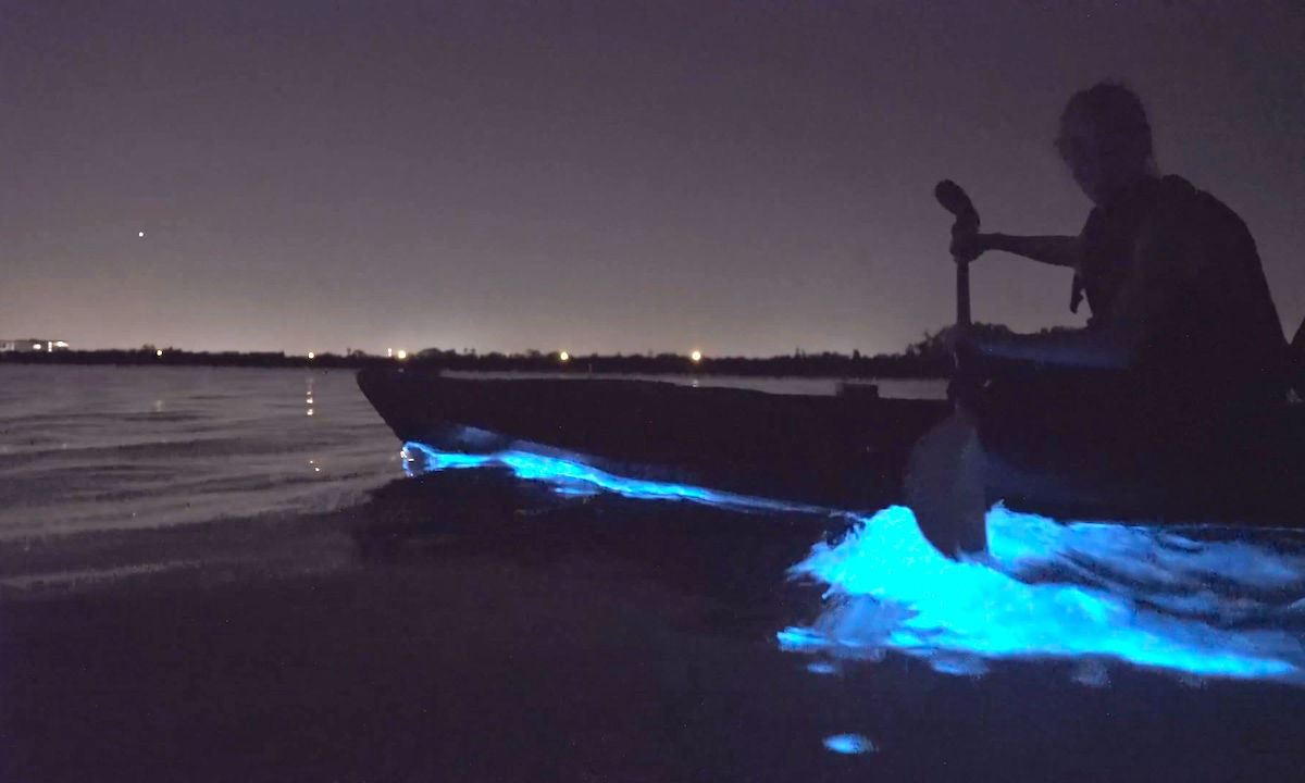 Bioluminescence Kayak Tour Port Gamble, Washington Olympic Outdoor