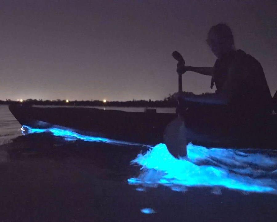 Bioluminescence Kayak Tour Port Gamble, WA Olympic Outdoor Center