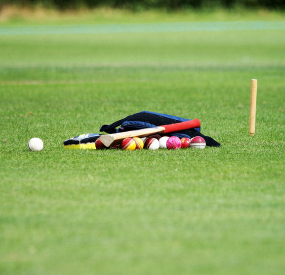 Cricket Training