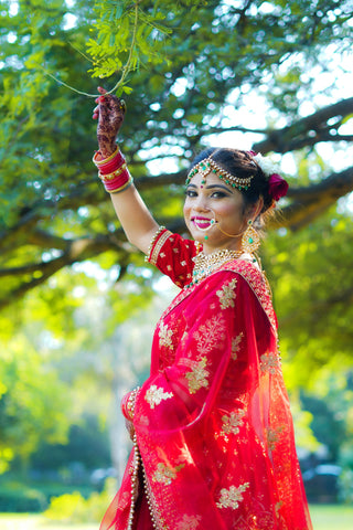 Sheer Saree