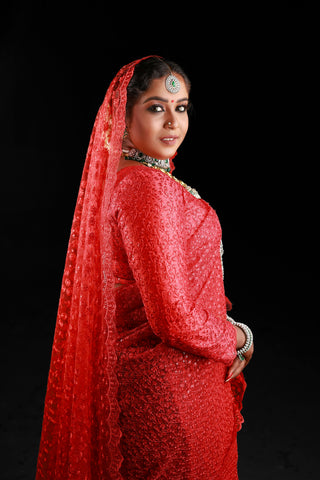 Red Net Saree