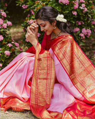 pink saree