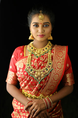 Traditional motifs saree
