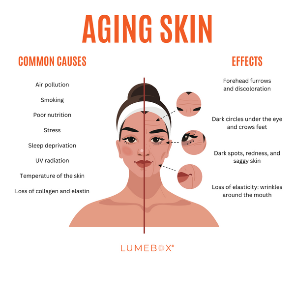 The causes and effects of aging skin. Loss of collagen and elastin leading to forehead furrows, discoloration, dark circles, redness, sagging skin, loss of elasticity, wrinkles.