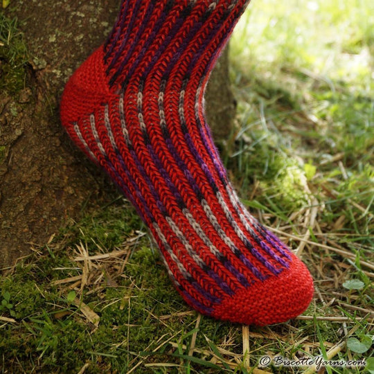 Free Brioche Socks Pattern – Biscotte Yarns