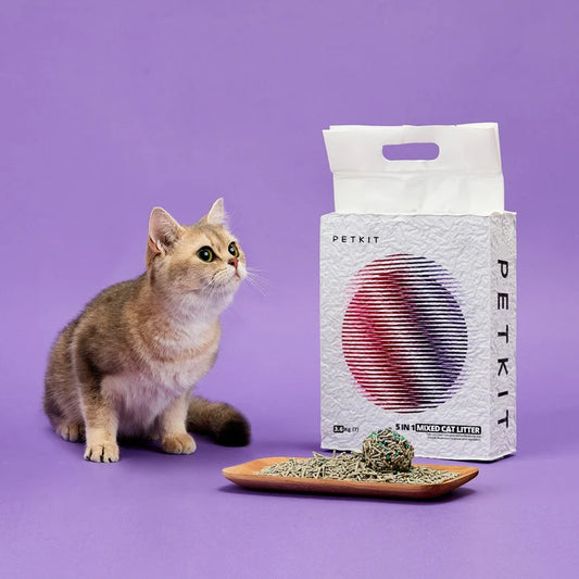 The Petkit Pura Air is Keeping My Home Free of Litter Box Odor · The Wildest