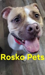 roskopets.com