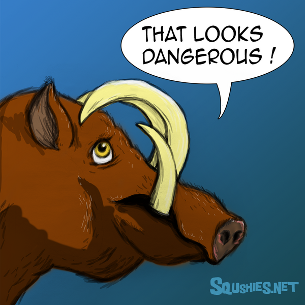 Babirusa Cartoon