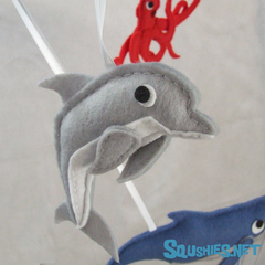 Dolphin Squshie