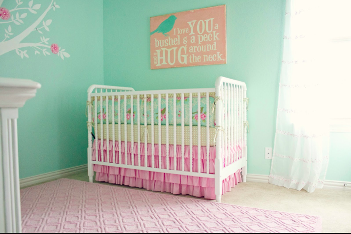 Aqua and Pink Baby Nursery