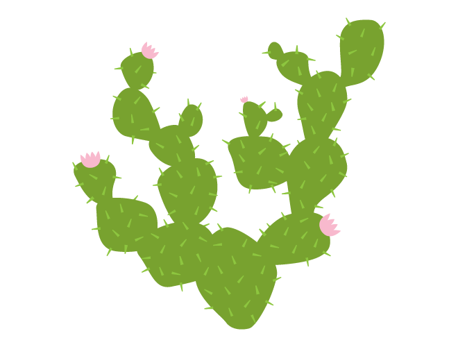 Image result for prickly pear cactus cartoon