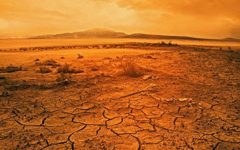Desolate desert land before rejuvenation