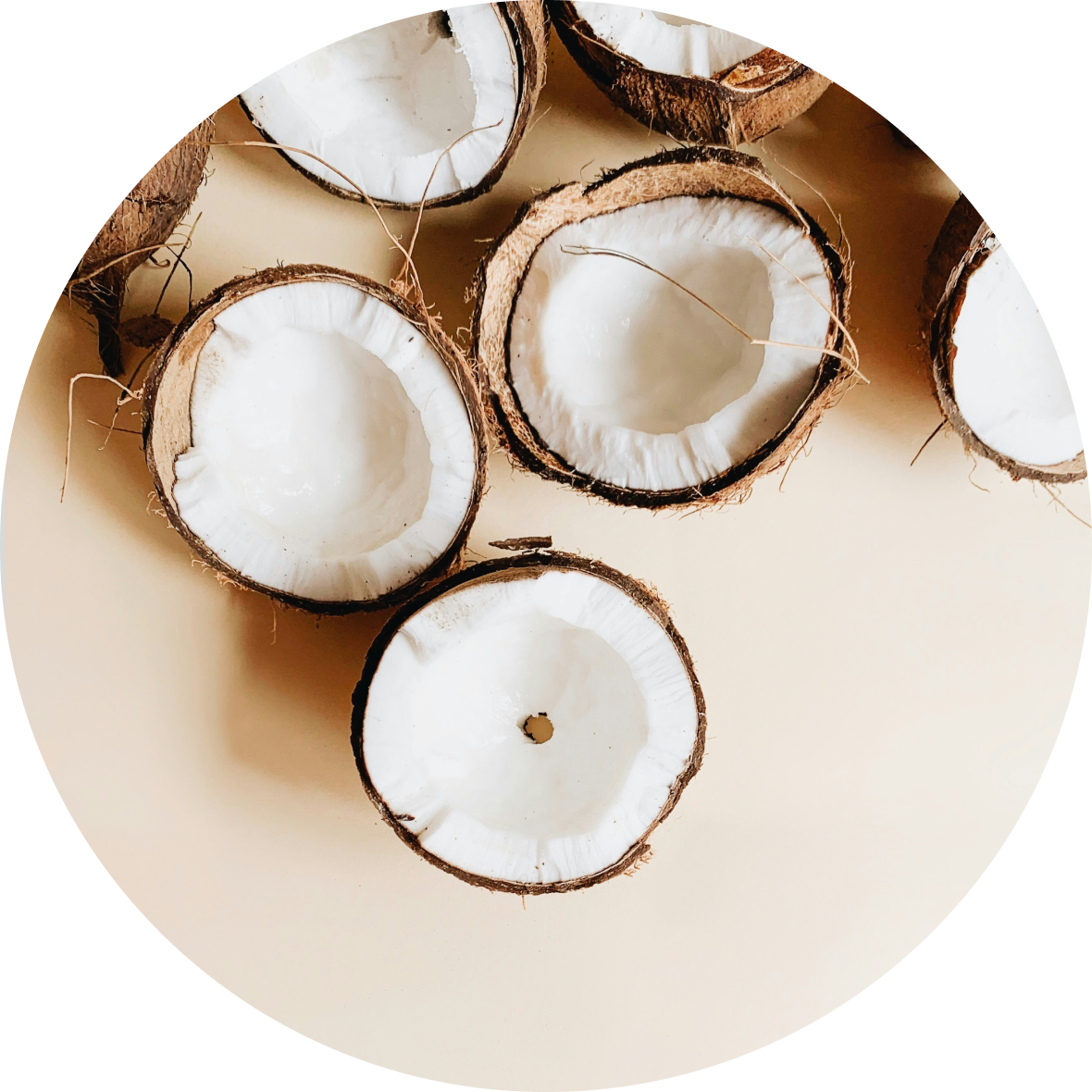 Halved coconuts with white flesh exposed on a light background.