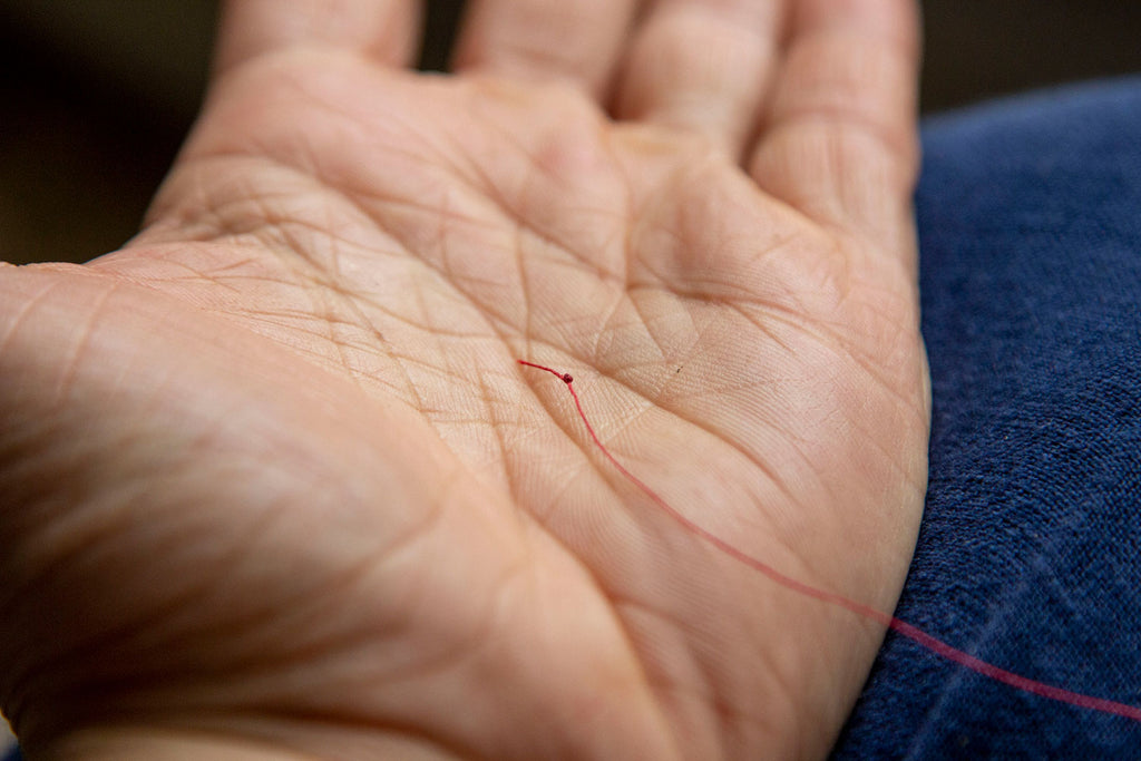 A close up of a single red thread tied into a small knot near the end of the tail sitting on a white palm