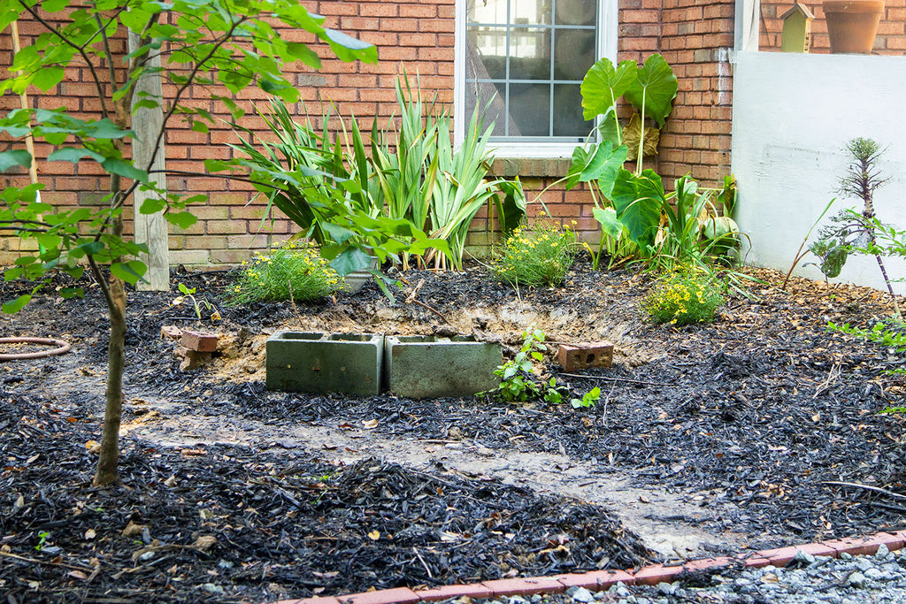 The same garden as above with cinder blocks and bricks placed around the intended pond on the side farthest from the house.