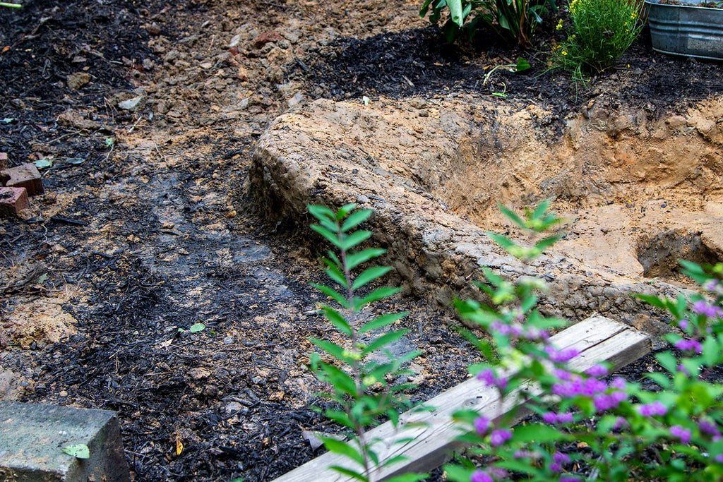Side angle image of the gentle slope with the cinder blocks removed to show where the retaining wall will need building.  The branch of a beautyberry bush is  in the foreground