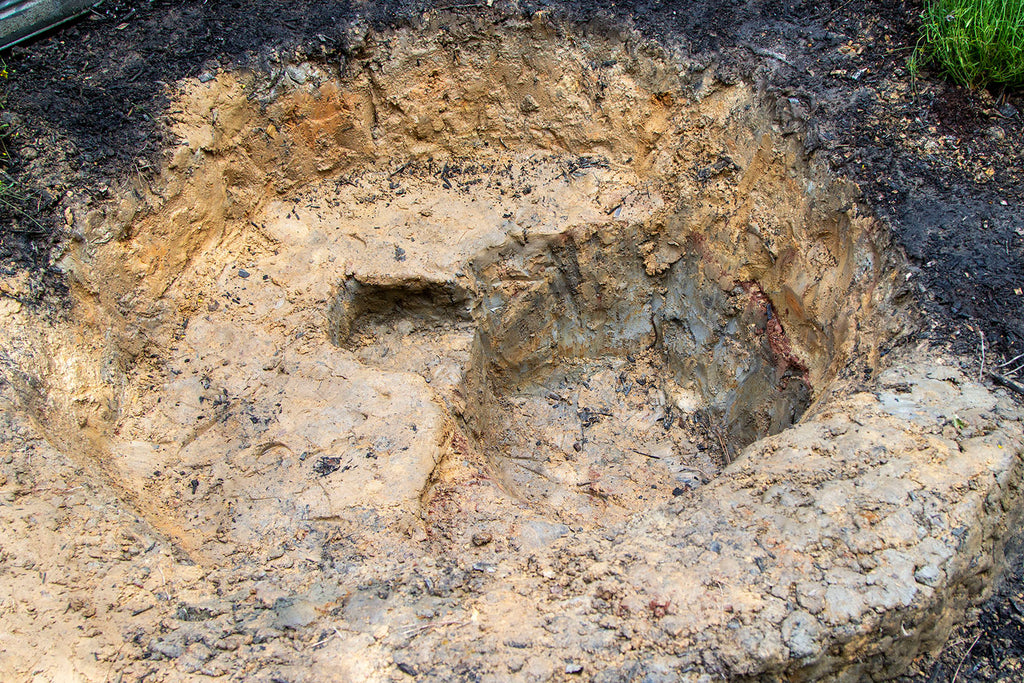 An overhead view of the pond showcasing the various shelves as well as the little cave