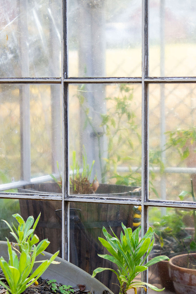 A close up view of the inside of the greenhouse filled with plants and the walls lined with vinyl sheeting taken from outside the greenhouse