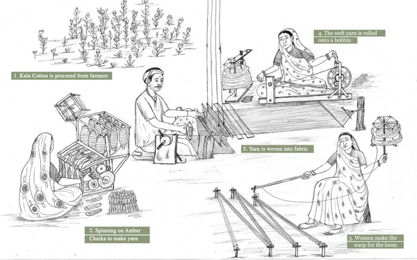 Illustration of Kala Cotton growing spinning weaving process