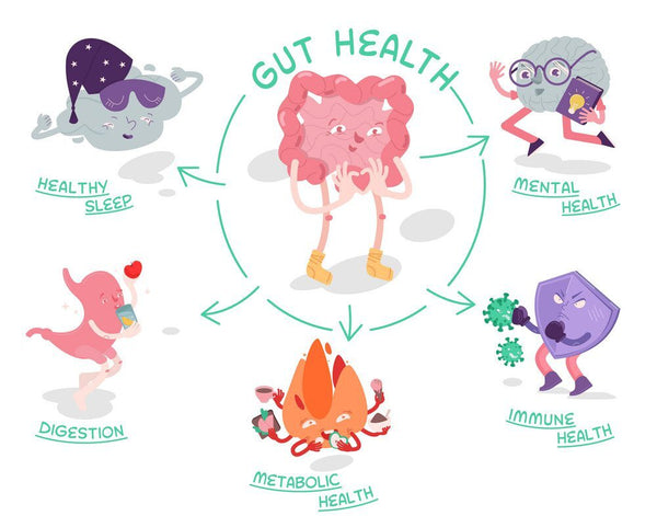 Good Gut Health