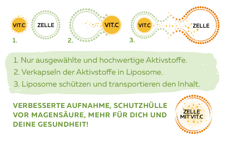 Liposomales Vitamin C Beschreibung