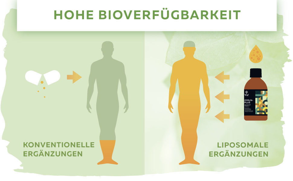 Liposomales Vitamin C mit hoher Bioverfuegbarkeit