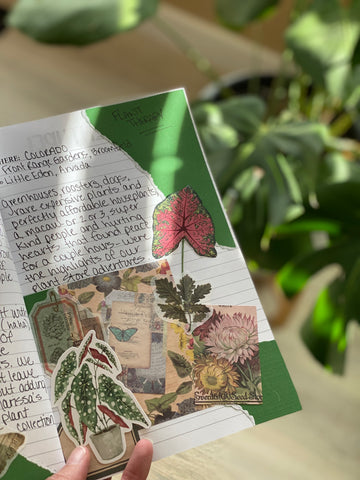 Pen Pal Adventure Book Plant Therapy