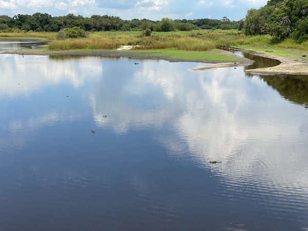 Myakka River State Park