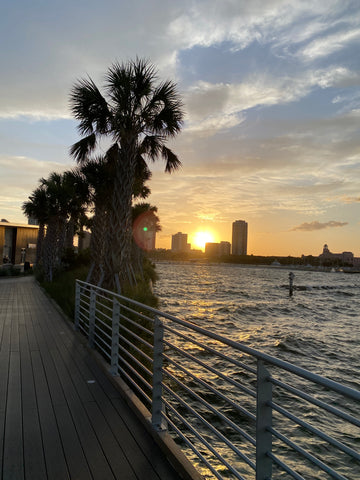 St Pete Pier and Tampa Bay Watch