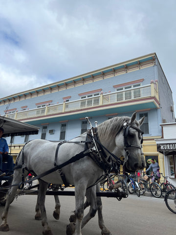 Mackinac Island Michigan