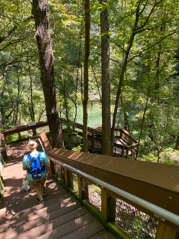 Devil's Millhopper Geological State Park Florida