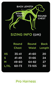 eqdog-measurementdiagram-proharness-200.jpg