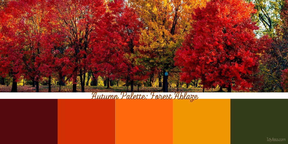trees with colorful autumn leaves that make an autumn palette