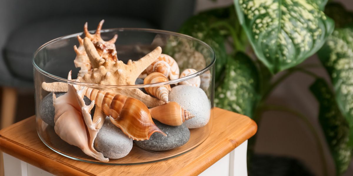 seashells in a bowl on a small table