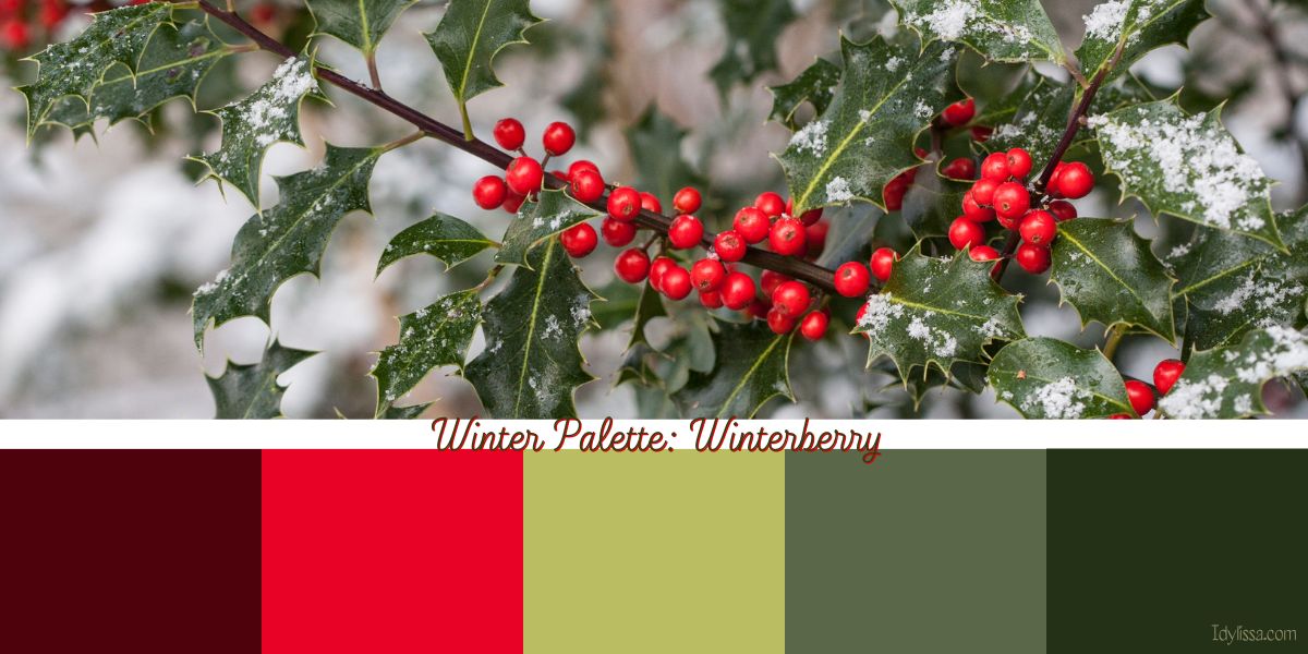 a holly berry branch to make a winter palette of greens and reds