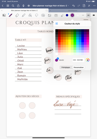 choix-et-personnalisation-couleurs-goodnotes5-planner-mariage
