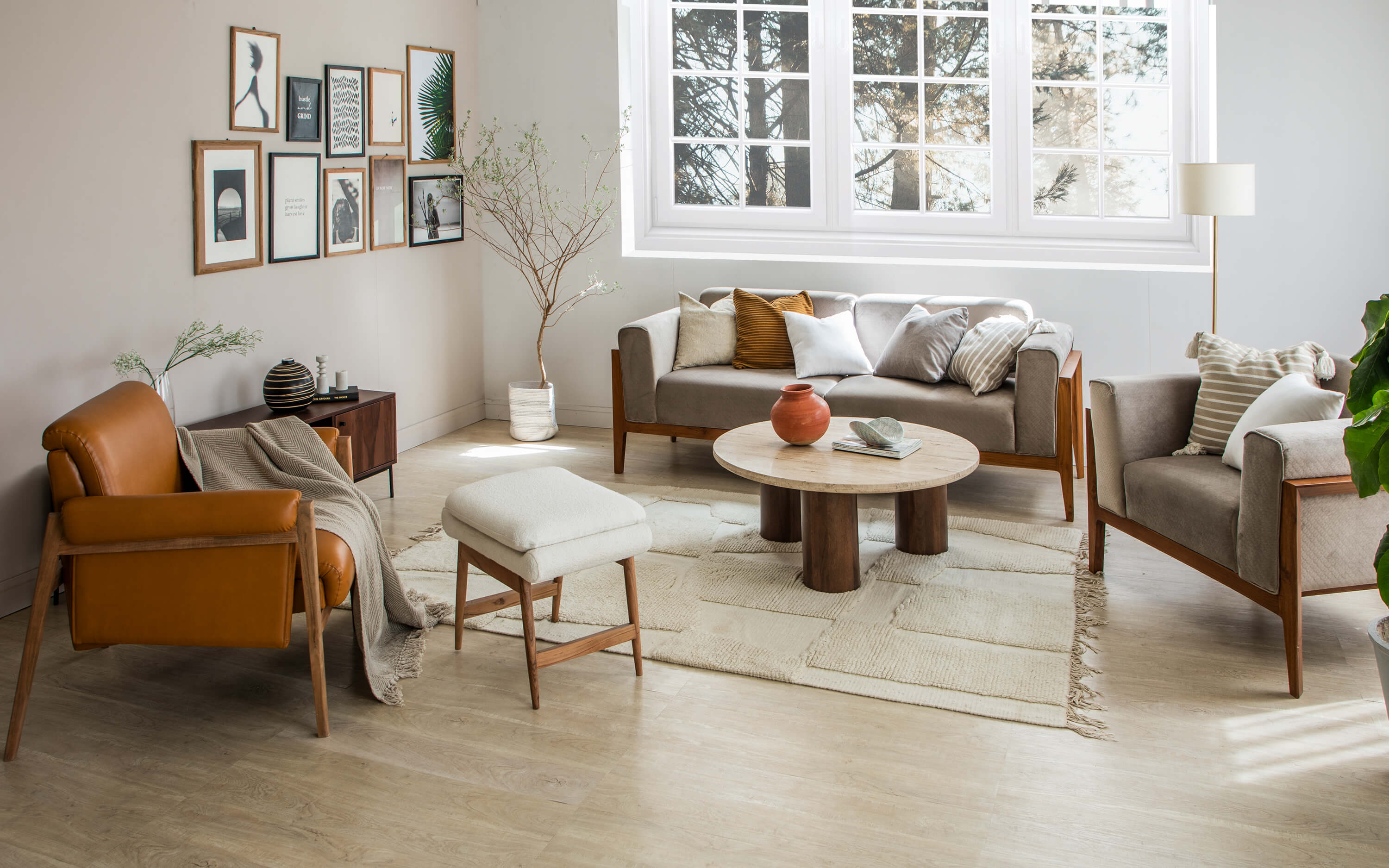 lounge chair for coffee table-orange tree