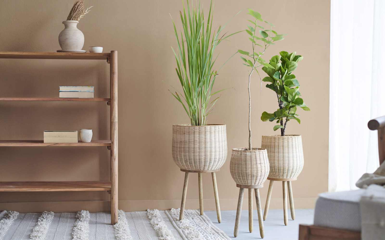 Planters for Indoor Plants in living room corner