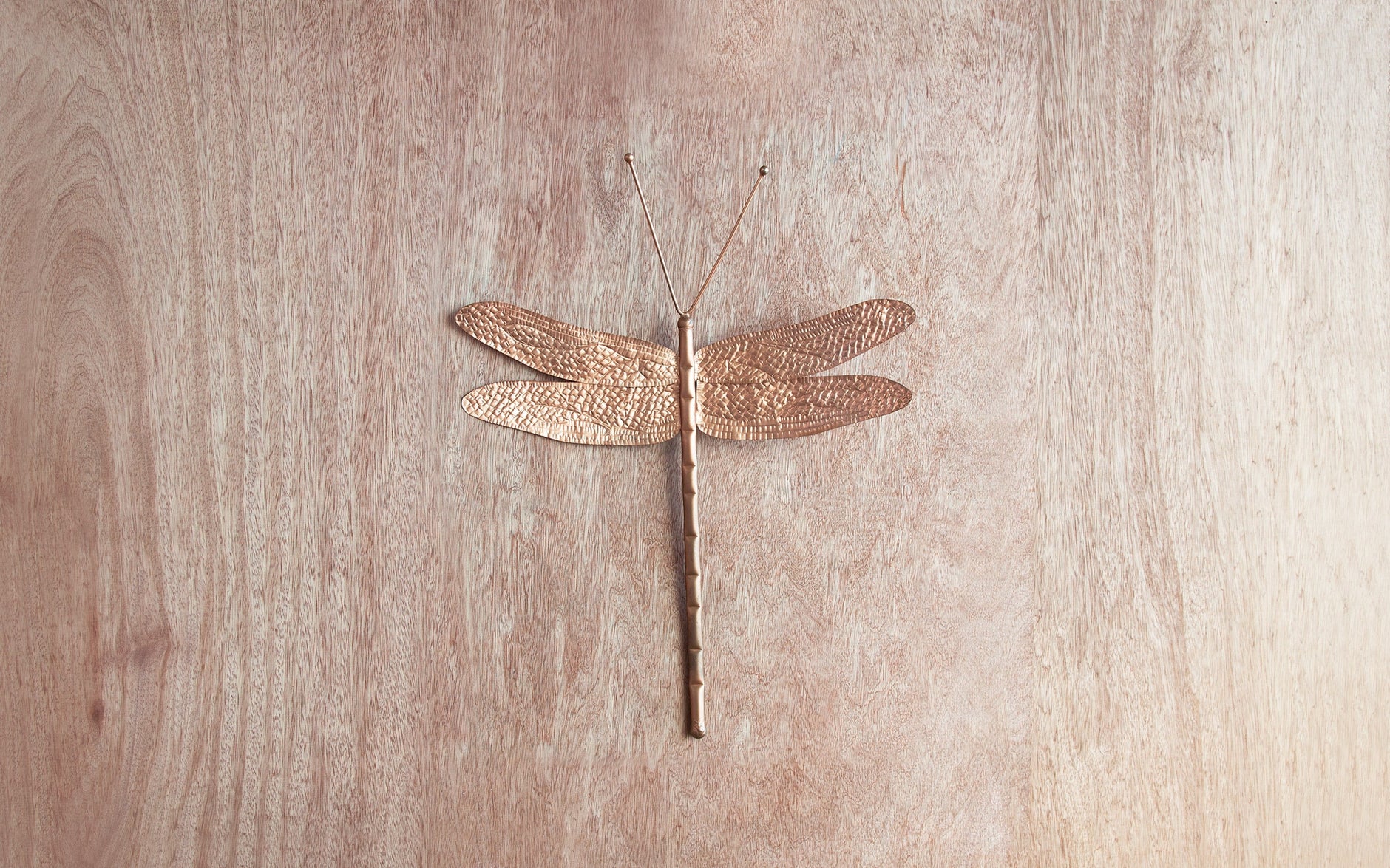 Dragonfly wall art decor Copper. Modern home interiors