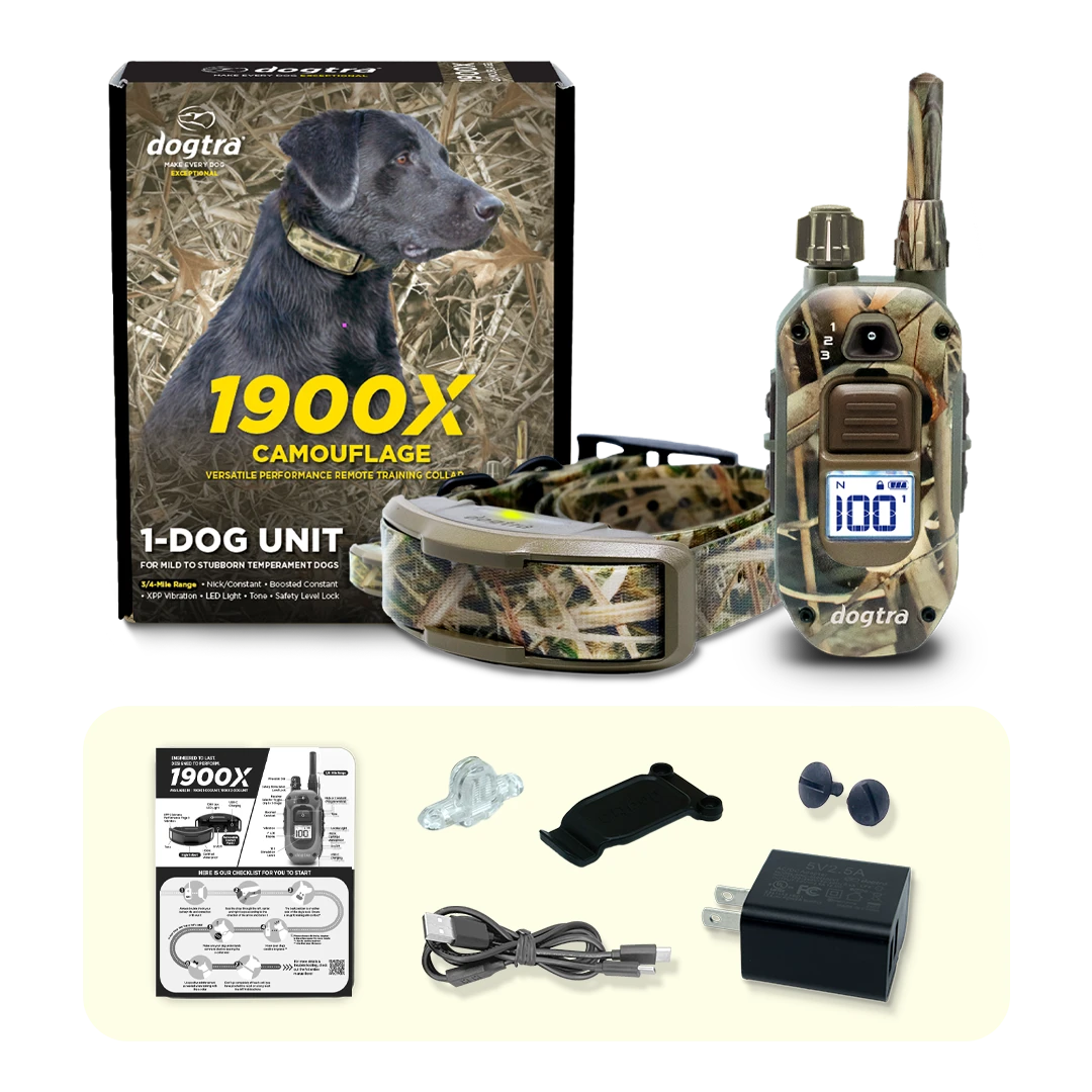 1900x-camo.webp__PID:a9443a5d-e7ee-4b34-b3d7-47e875874da4