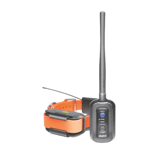 History_PATHFINDER1.webp__PID:addcf705-4301-4d9d-87f1-030eb9b490c8