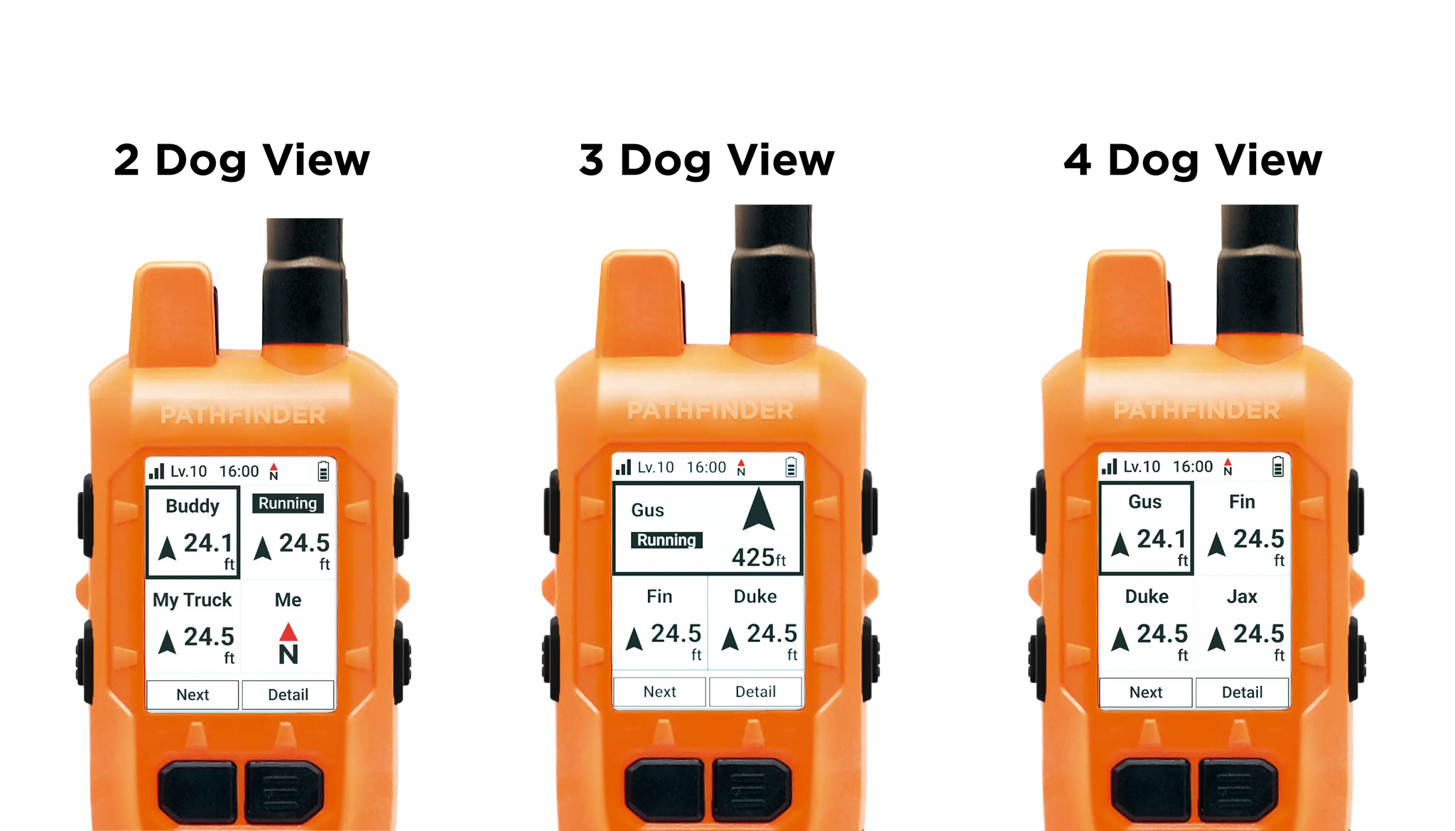 Multi Dog View Compass.webp__PID:08220380-f249-468a-a259-8108cf41da7d