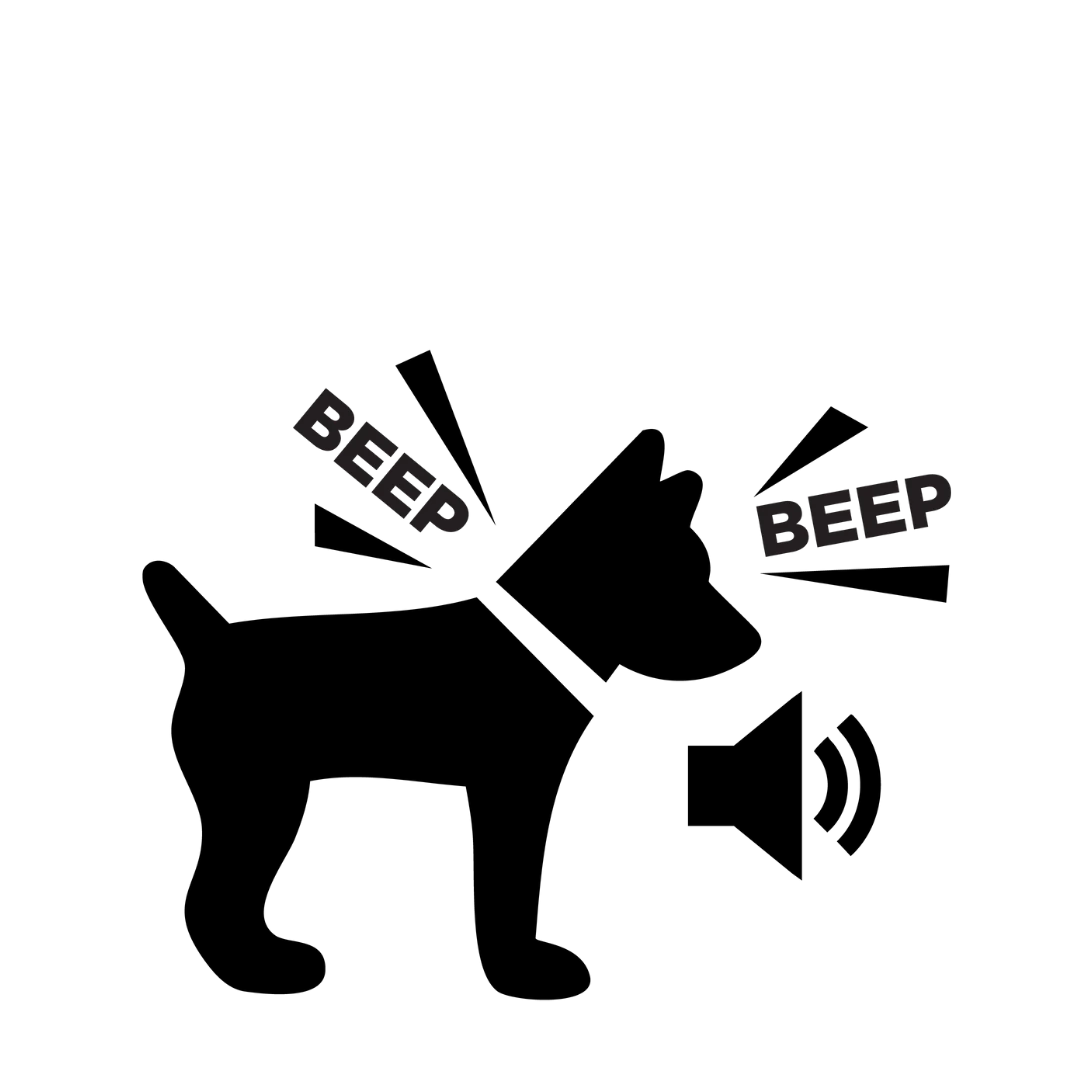 Step 3 BPF.webp__PID:1b460ccc-e160-4b3d-864a-fbcc7419bc37