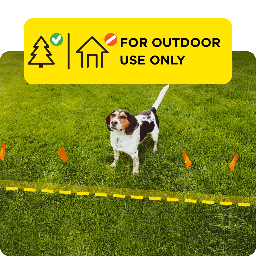 outdoors (2).webp__PID:79dc3ee3-e005-4d99-a690-a6dbd676de80