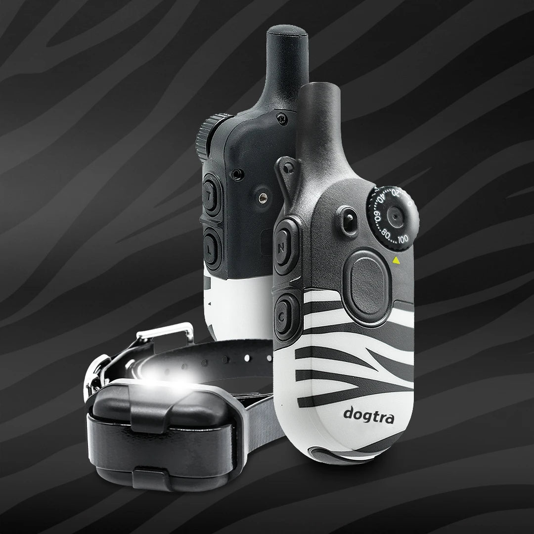 zebra.webp__PID:4ab3f278-8364-436a-92cd-c91eaa69d238