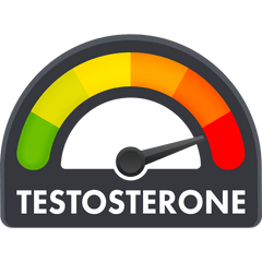 testosterone booster ayurvedic
