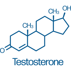 Best testosterone booster