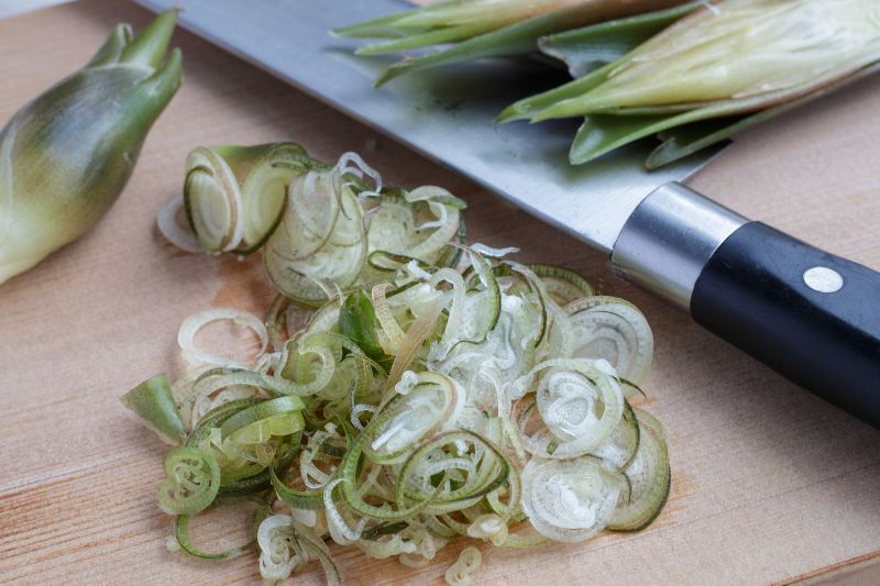 https://cdn.shopify.com/s/files/1/0684/1096/6289/files/5_Best_Japanese_Chef_Knives_for_Plant-Based_and_Vegetarian_Kitchens_Featuring_Opinions_from_real-life_experts_on_Japanese_knife_4.jpg?v=1698249747
