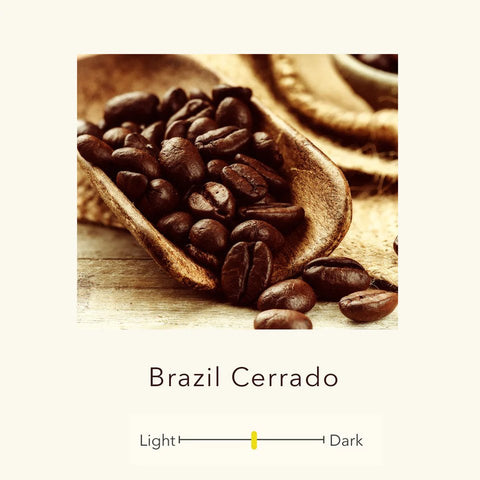 Brazil - Arabica Catuai - Cerrado Shimada Plantation - Single Origin Premium Coffee